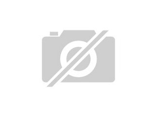 Suche dringend kurze Lederhosen alt gebrau